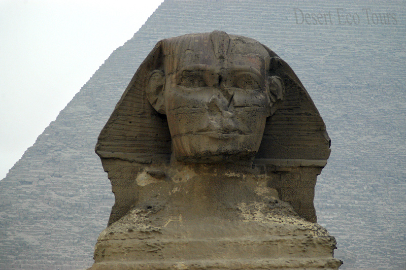 הפירמידות והספינקס בקהיר
